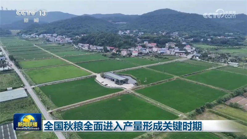 全国秋粮全面进入产量形成关键时期