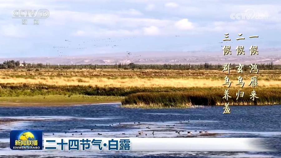 二十四节气·白露