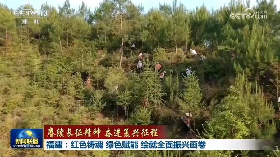 【赓续长征精神 奋进复兴征程】福建:红色铸魂 绿色赋能 绘就全面振兴画卷