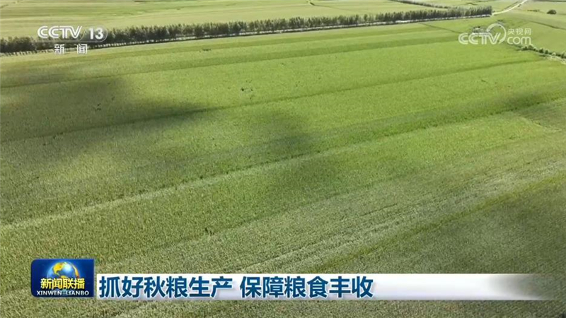 抓好秋粮生产 保障粮食丰收