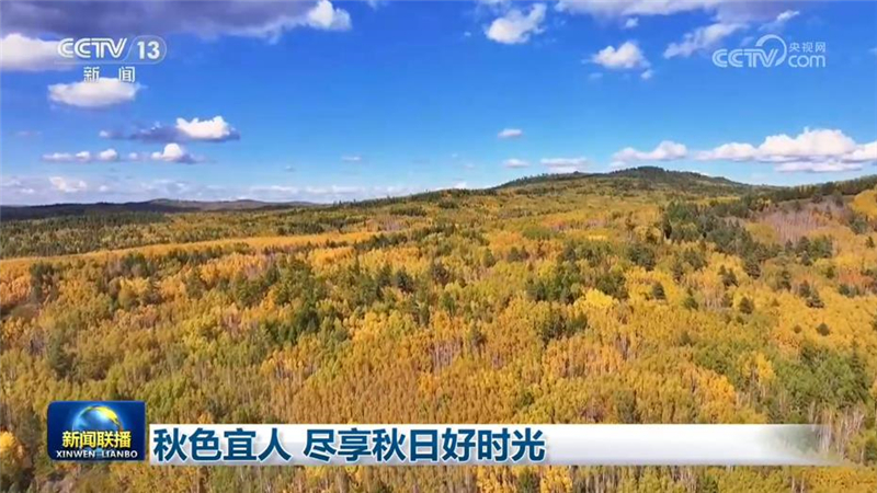 秋色宜人 尽享秋日好时光