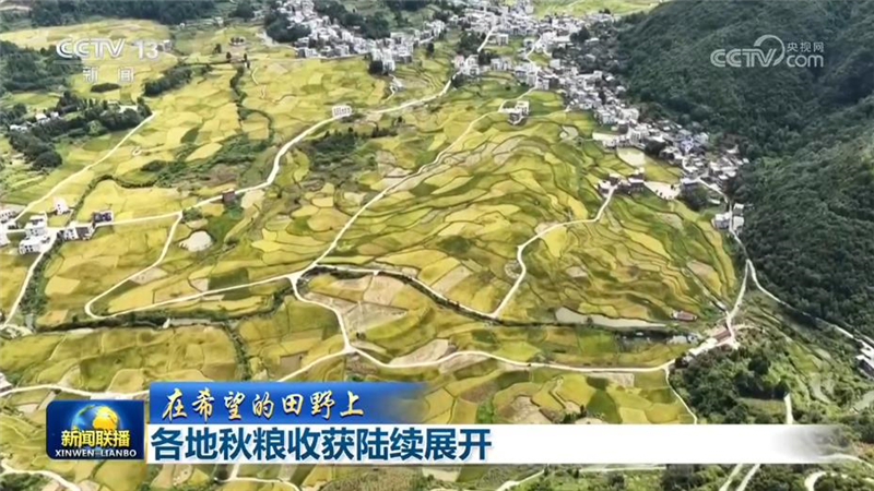 【在希望的田野上】各地秋粮收获陆续展开