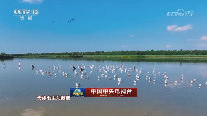 神州锦绣